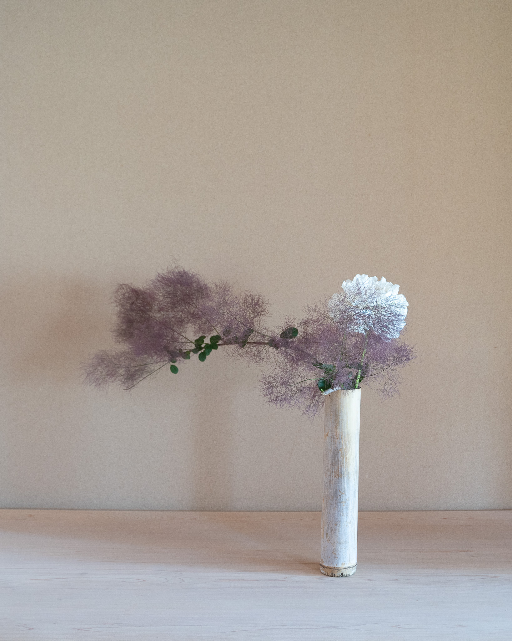 抛入
けむり草、芍薬