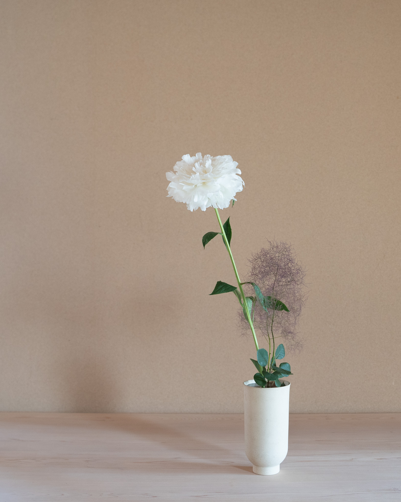 抛入
けむり草、芍薬