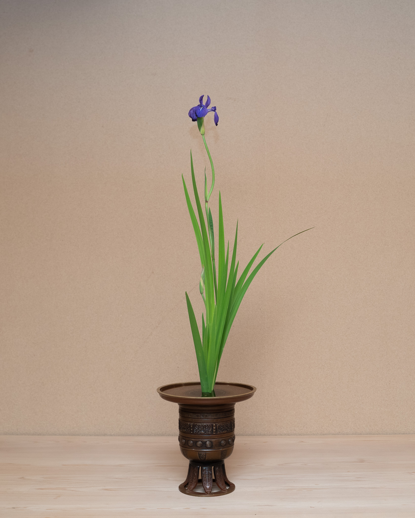 生花正風体
燕子花