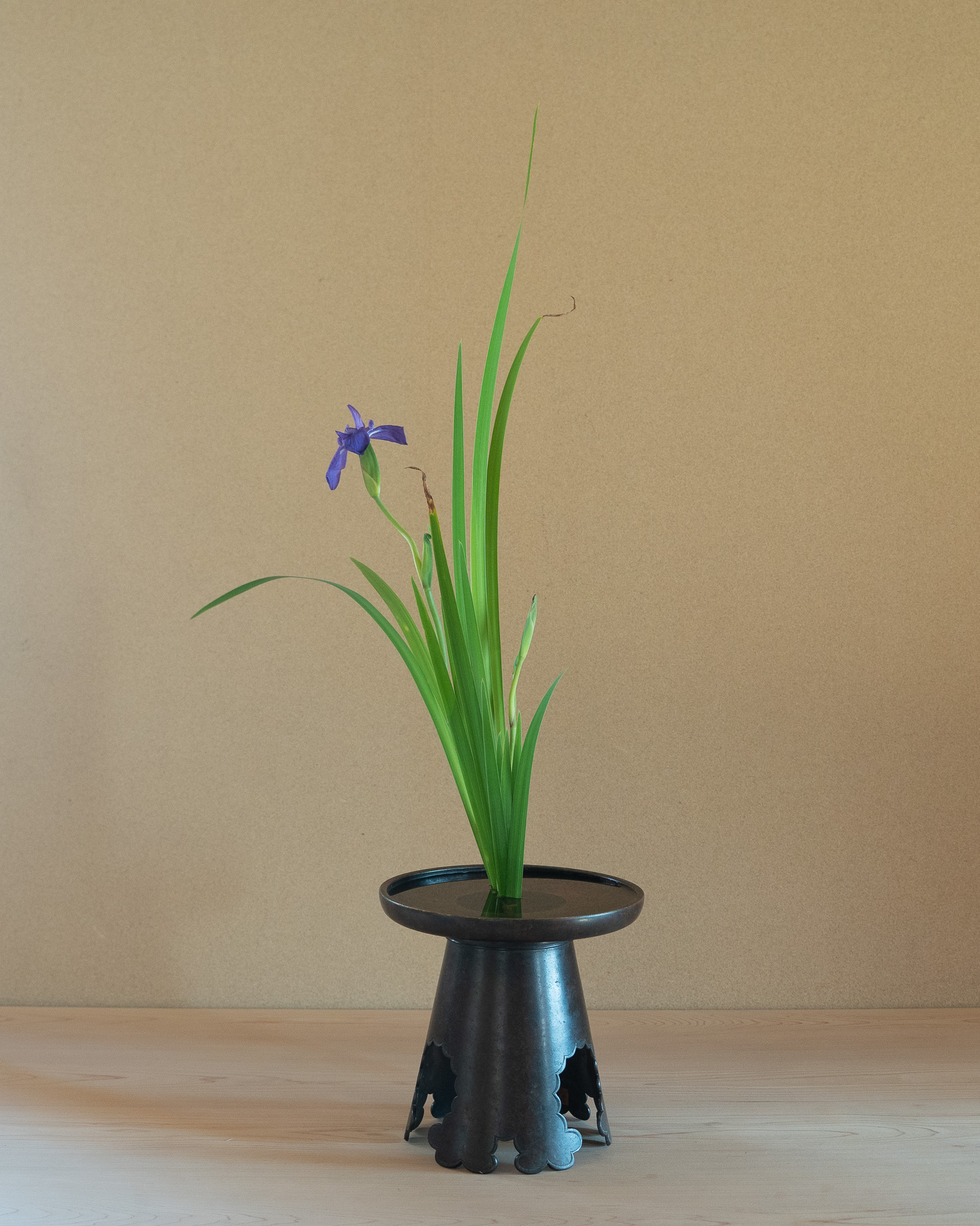 生花正風体
燕子花