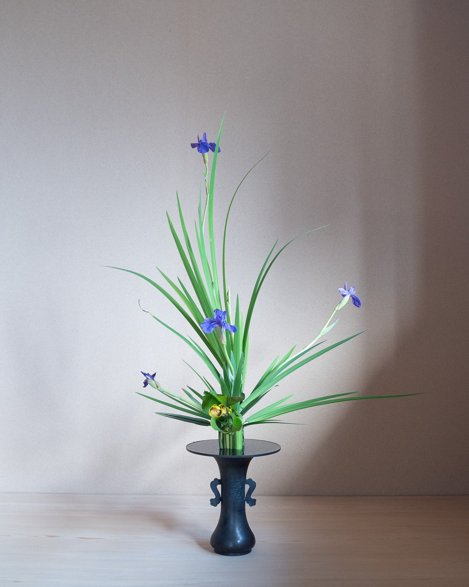 立花正風体
燕子花、河骨