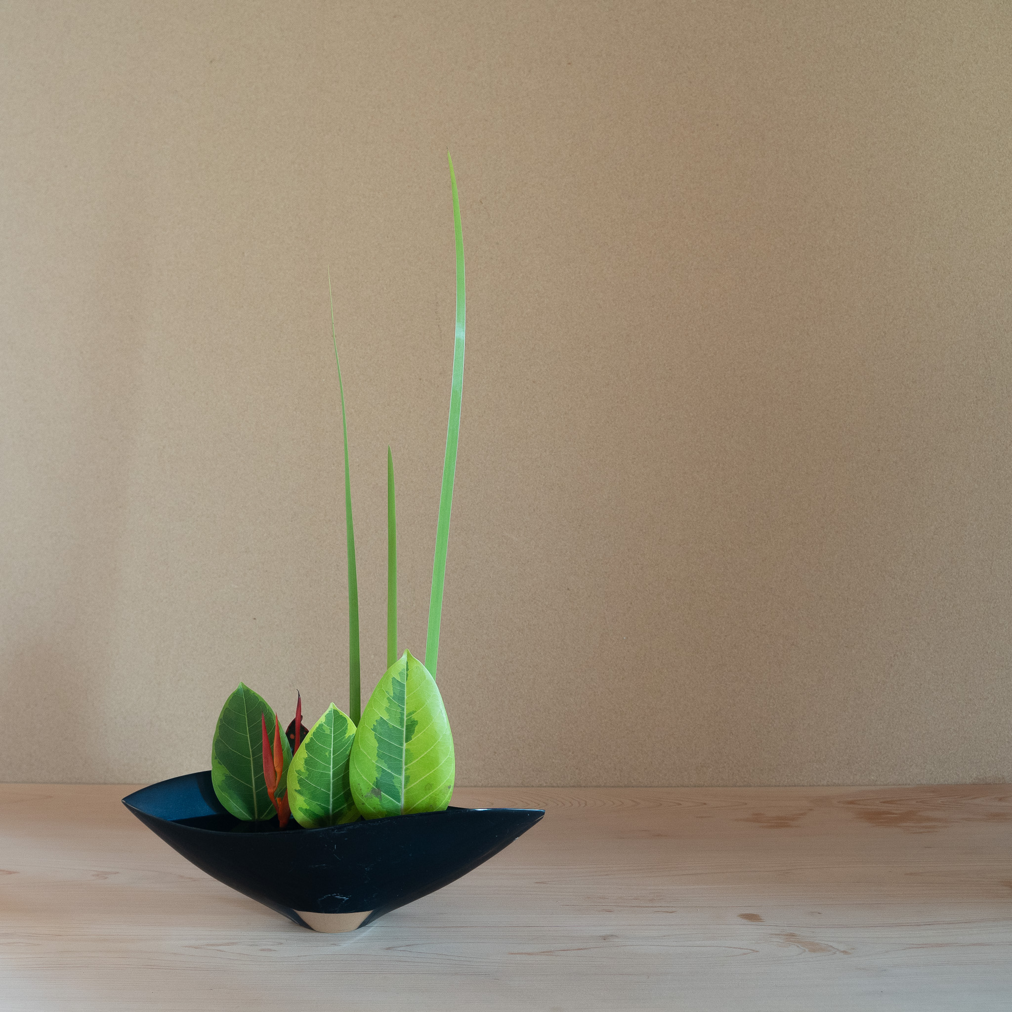 自由花
メリタリーフ、ヘレコニア、オクロレウカ