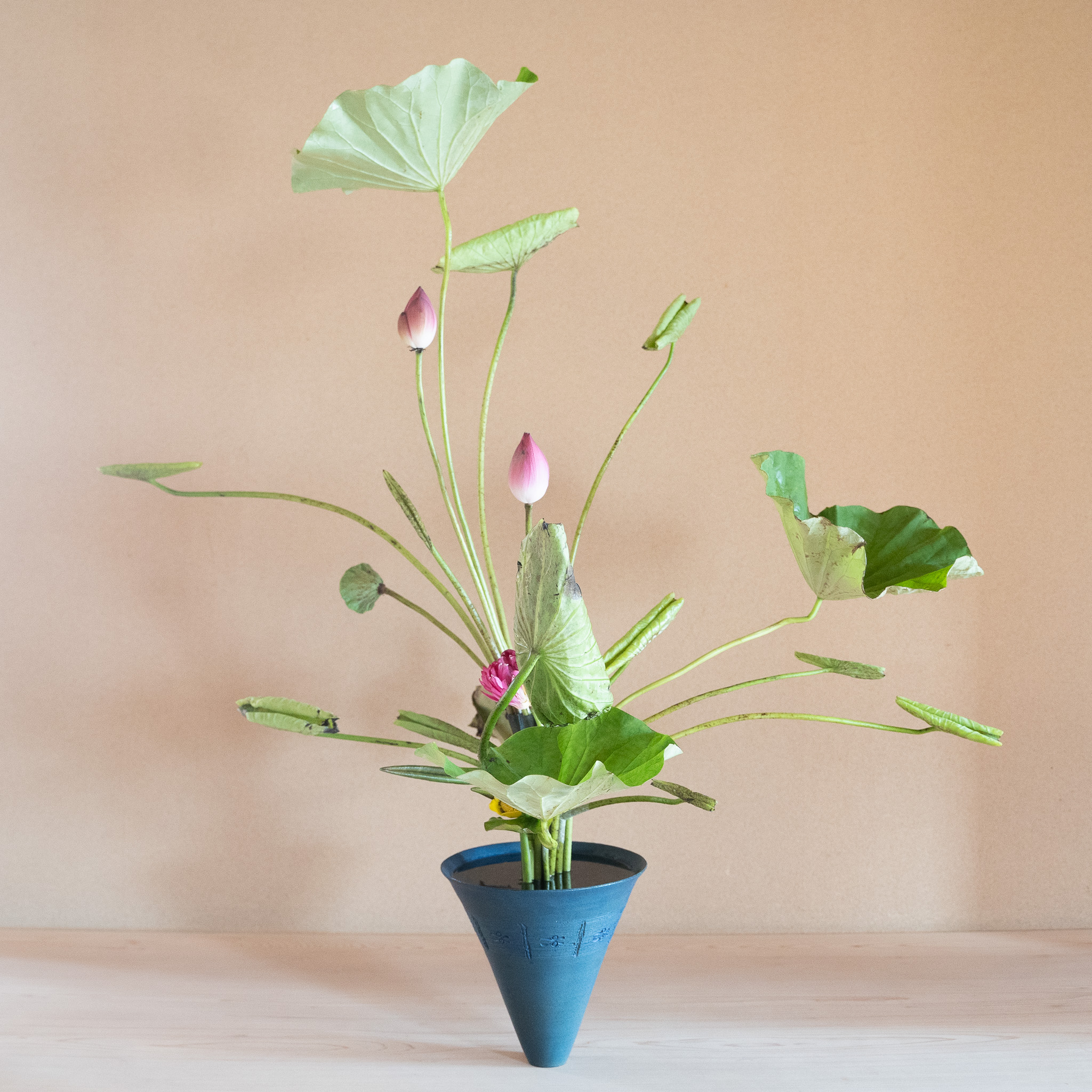 立花正風体
蓮、河骨