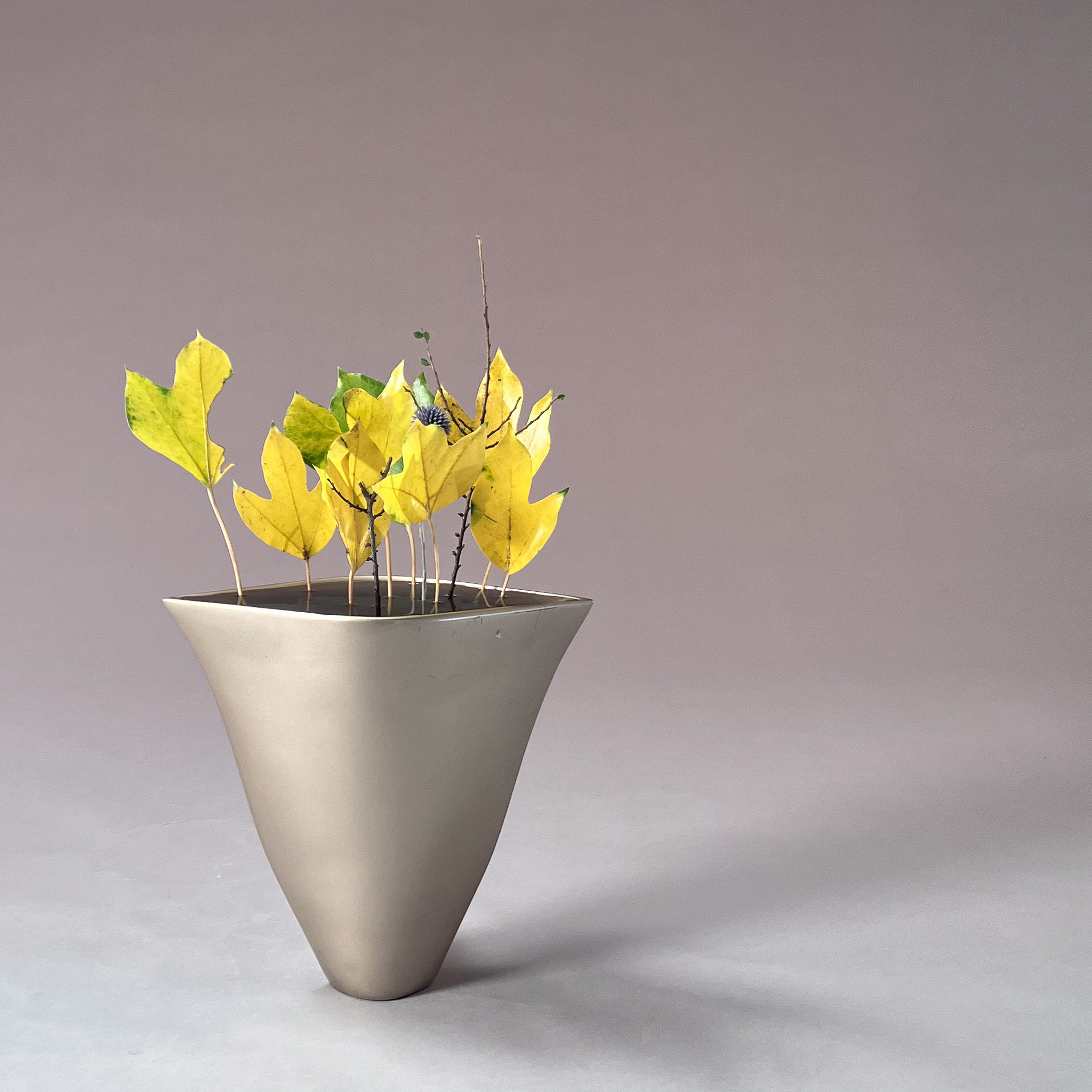 自由花
かくれみの、瑠璃玉あざみ、紅したん