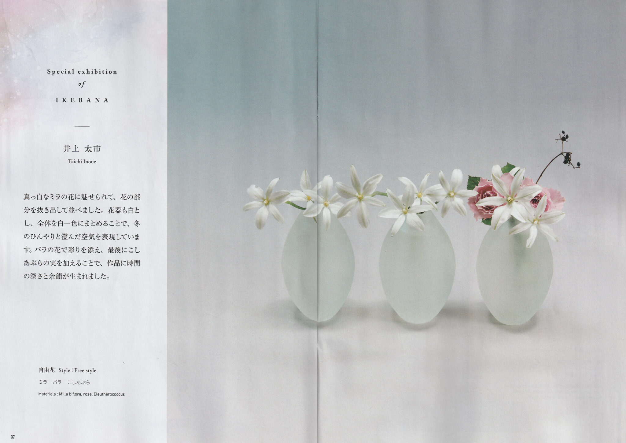 『ざ・いけのぼう』2025年12月号